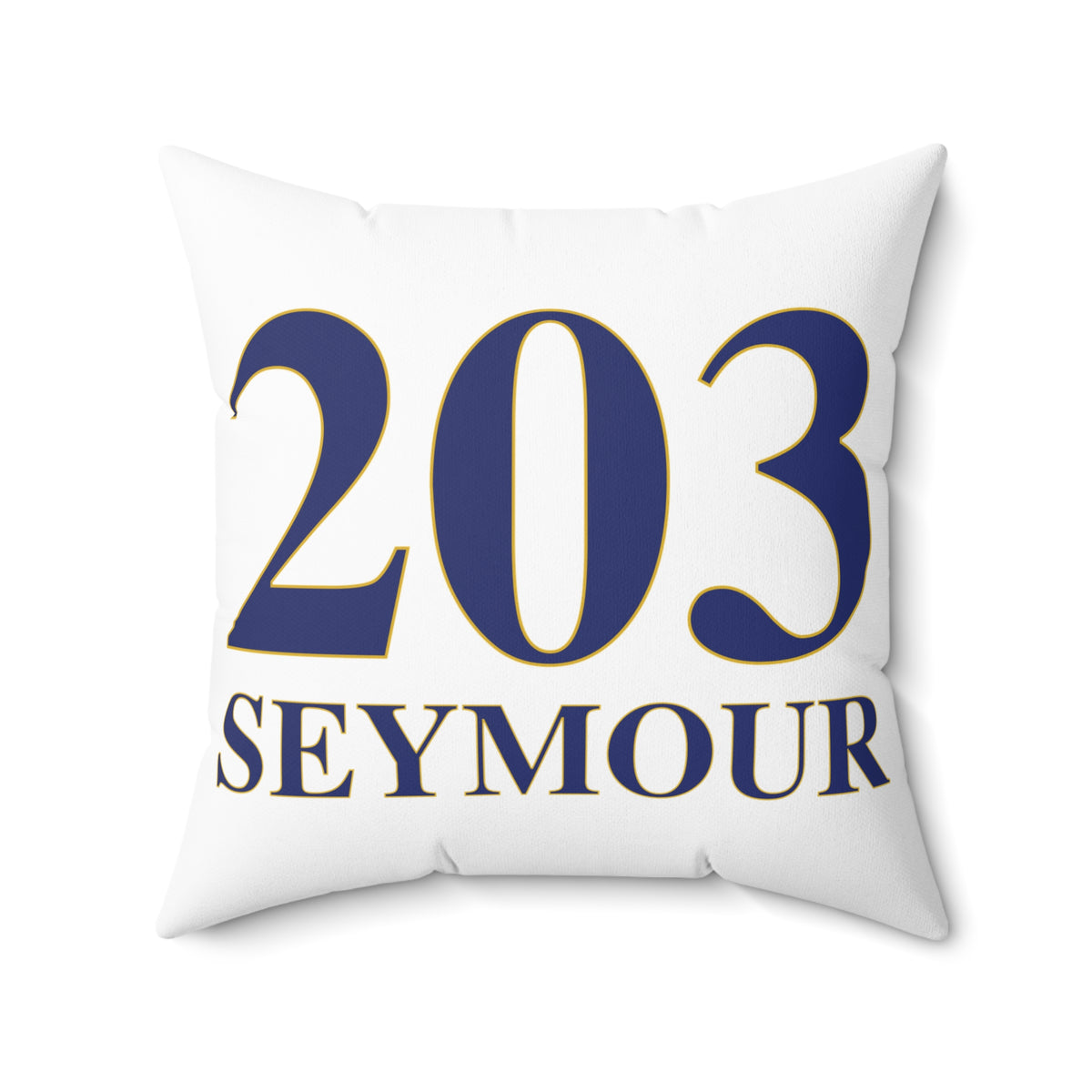 203 Seymour Polyester Square Pillow