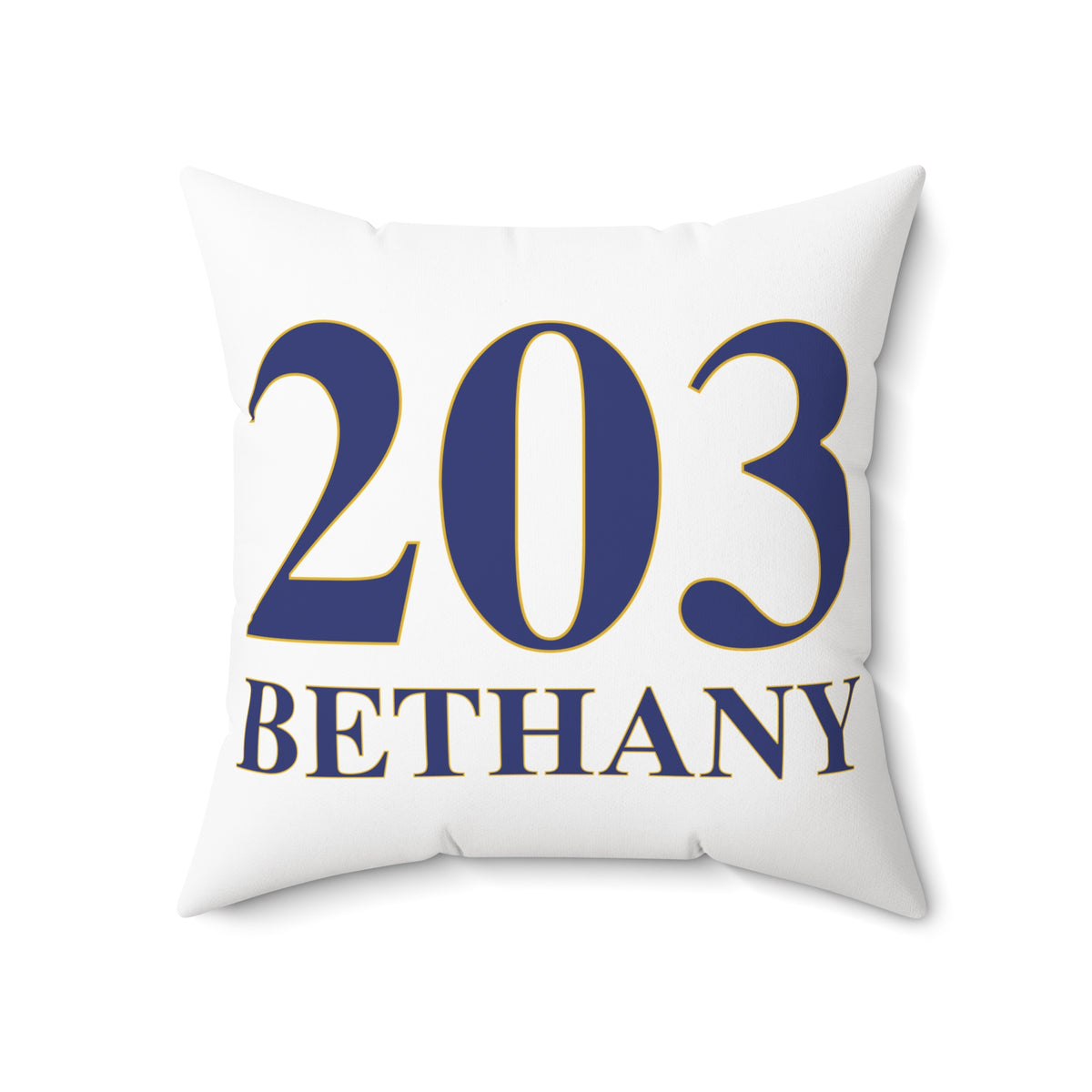 203 Bethany Polyester Square Pillow