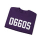 06605 Bridgeport CT Zip Code Unisex Heavy Blend™ Crewneck Sweatshirt