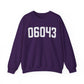 06043 Bolton CT Zip Code Unisex Heavy Blend™ Crewneck Sweatshirt