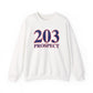 203 Prospect Red White & Blue Unisex Heavy Blend™ Crewneck Sweatshirt