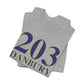 203 Danbury Unisex Jersey Short Sleeve T-Shirt