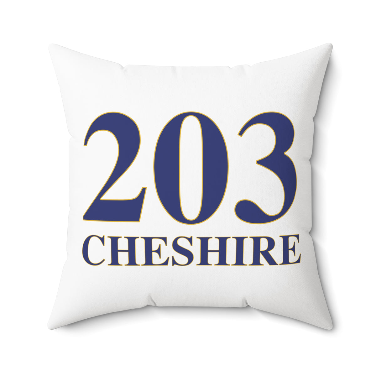 203 Cheshire Polyester Square Pillow