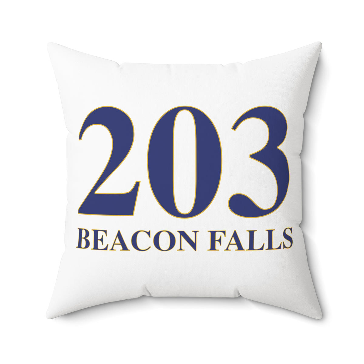203 Beacon Falls Polyester Square Pillow