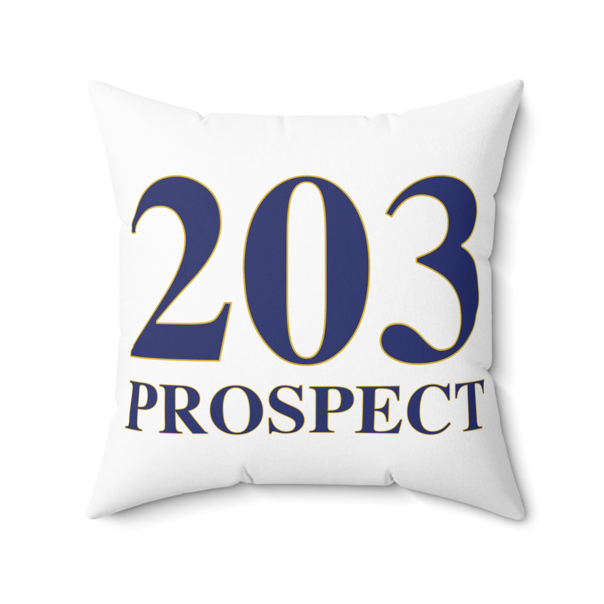 203 Prospect Polyester Square Pillow