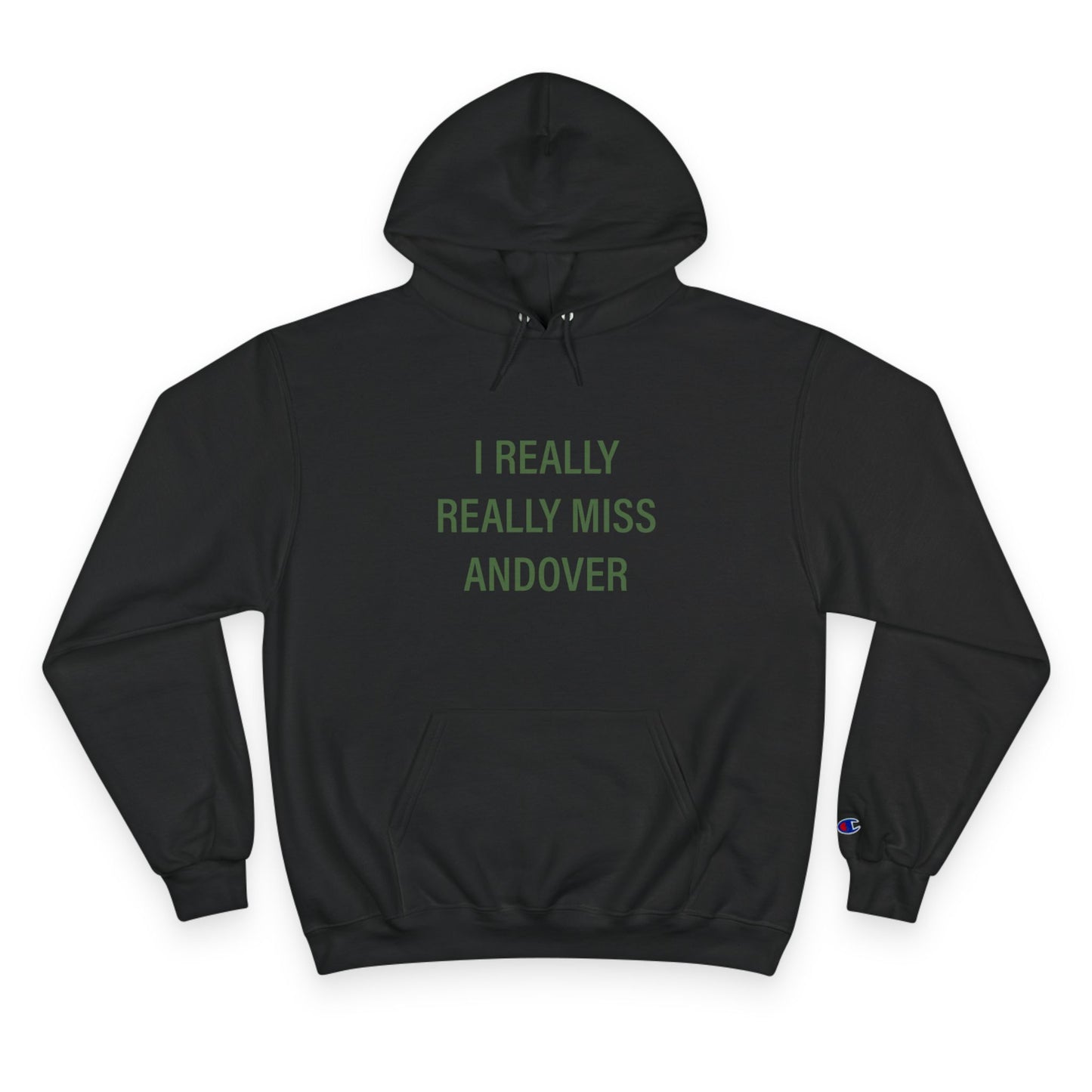 I Really Really Miss Andover Champion Hoodie