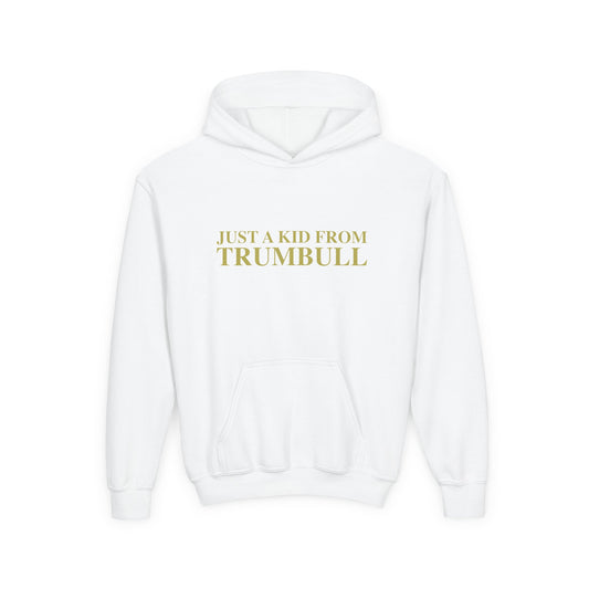 Just a kid from Trumbull  Youth Heavy Blend Hooded Sweatshirt