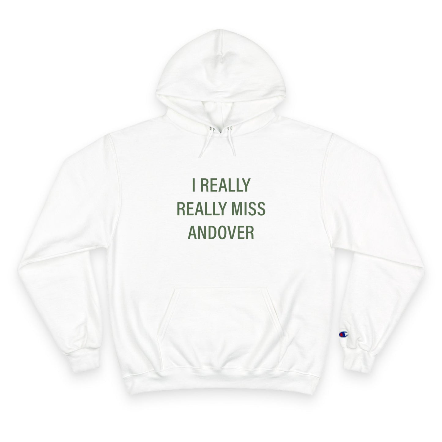 I Really Really Miss Andover Champion Hoodie