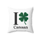 I Clover Canaan Spun Polyester Square Pillow