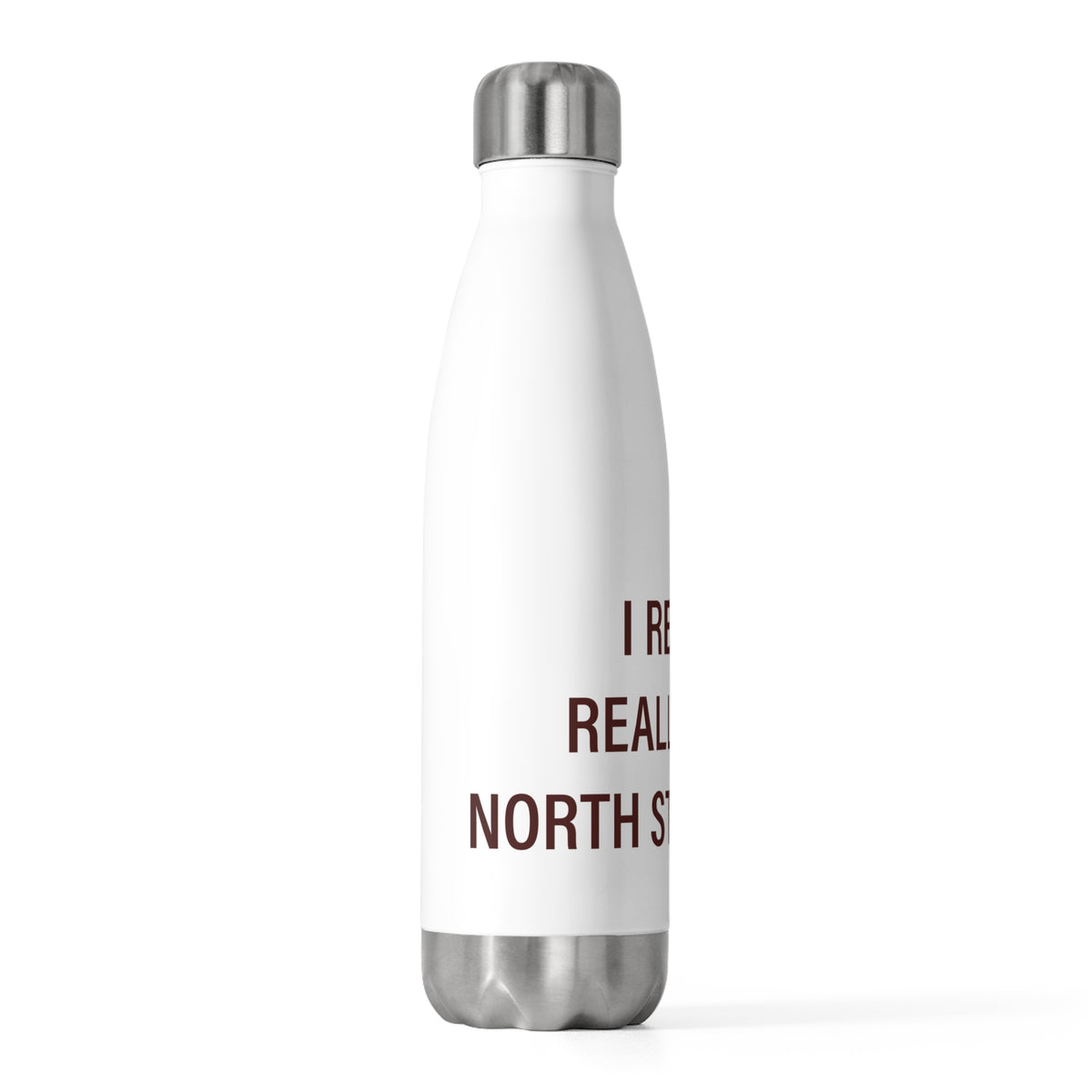 I Really Really Miss North Stonington  20oz Insulated Bottle