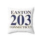 Easton 203 Connecticut Spun Polyester Square Pillow