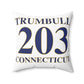Trumbull 203 Connecticut Spun Polyester Square Pillow
