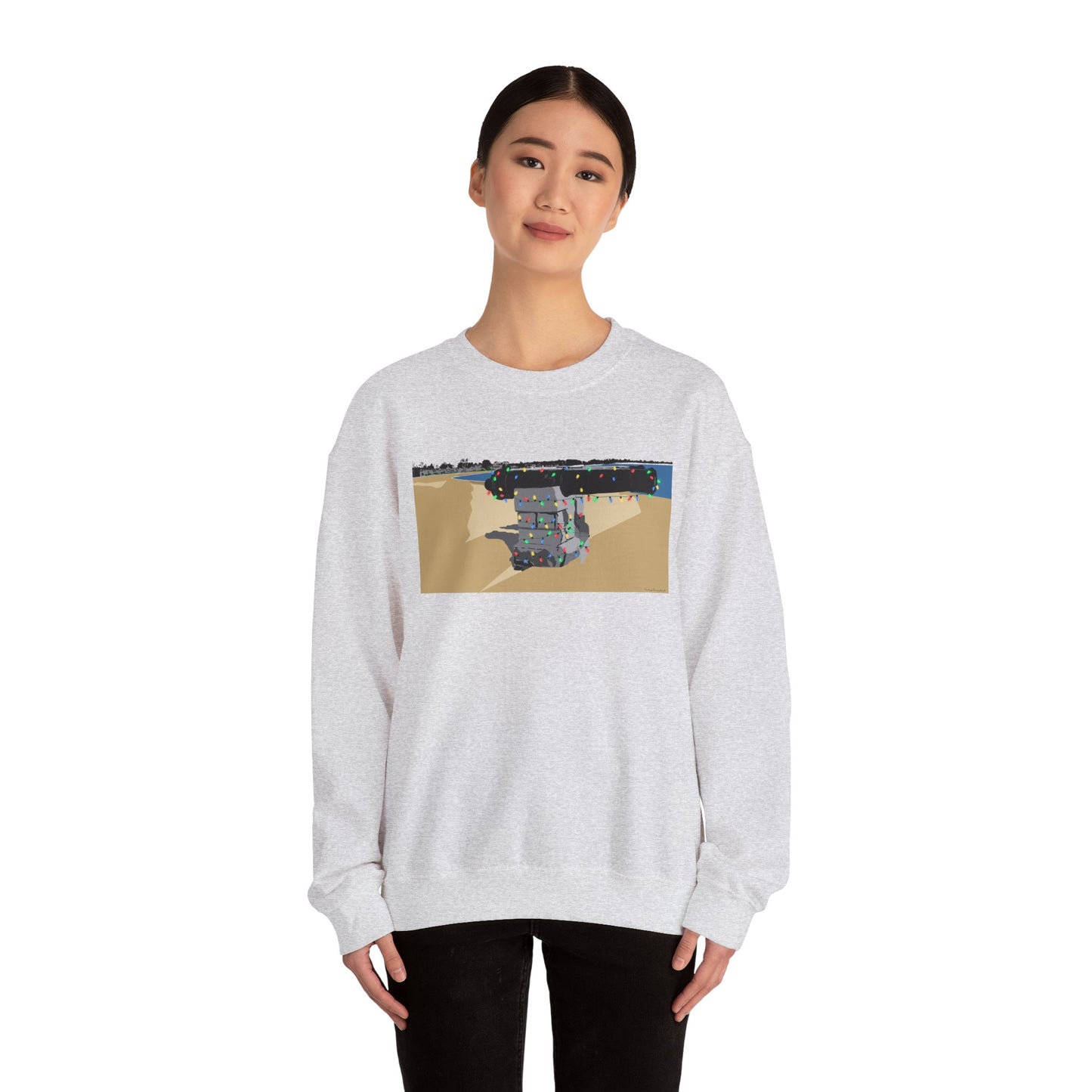 Compo Cannon Lights Unisex Heavy Blend™ Crewneck Sweatshirt