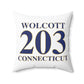 Wolcott 203 Connecticut Polyester Square Pillow