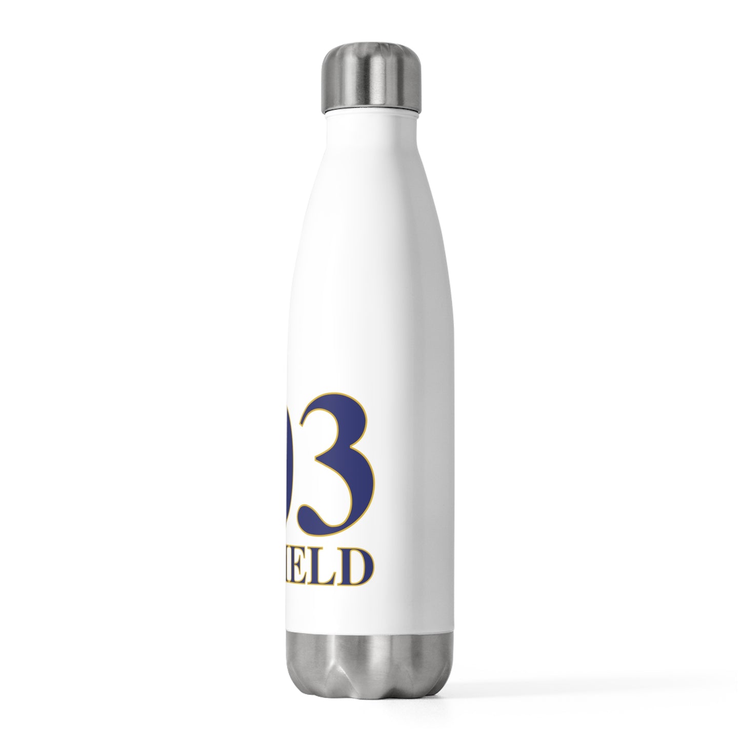 203 Fairfield 20oz Insulated Bottle