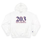 203 New Fairfield Red White & Blue Champion Hoodie
