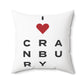 Cranbury Vision Spun Polyester Square Pillow