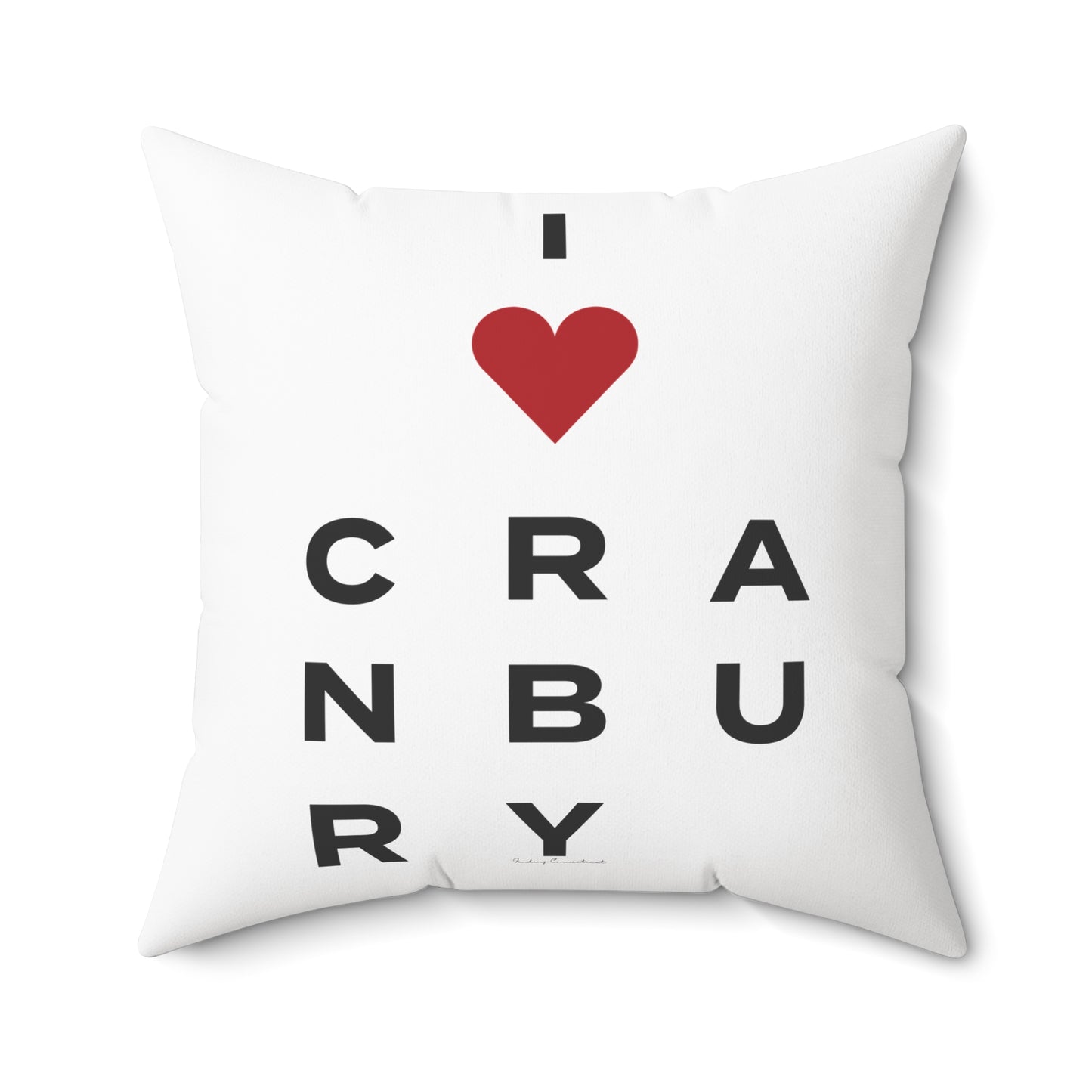 Cranbury Vision Spun Polyester Square Pillow