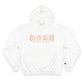Watertown Coordinates Champion Hoodie