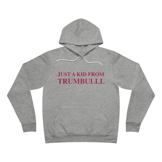 Just a kid from Trumbull Unisex Sponge Fleece Pullover Hoodie