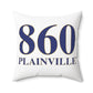 860 Plainville Polyester Square Pillow