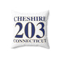 Cheshire 203 Connecticut Polyester Square Pillow