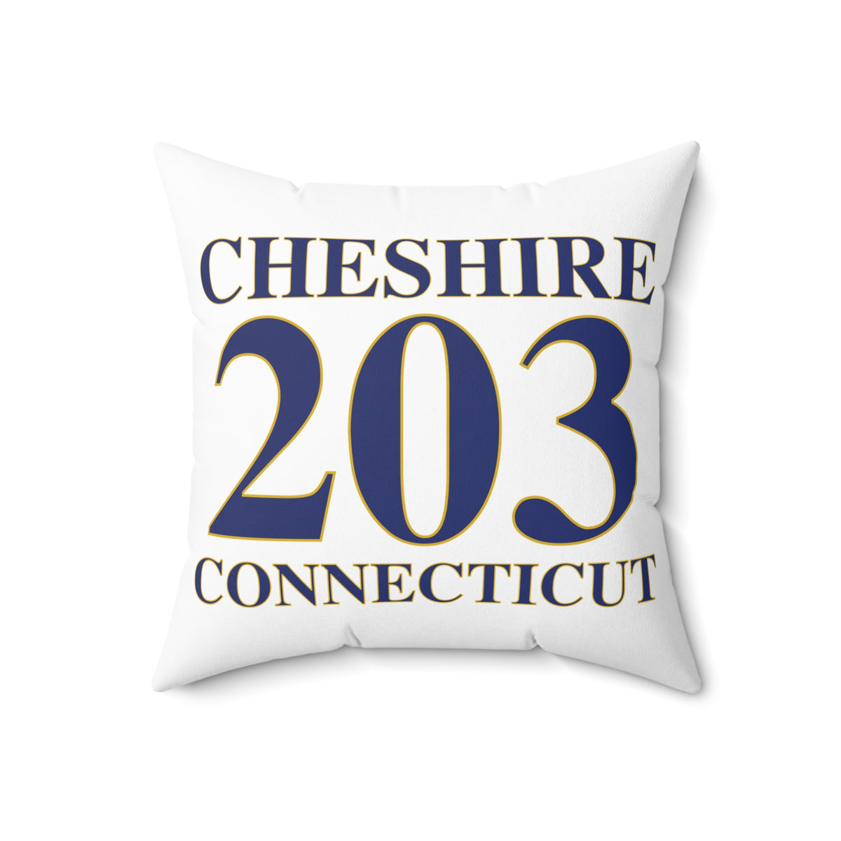 Cheshire 203 Connecticut Polyester Square Pillow
