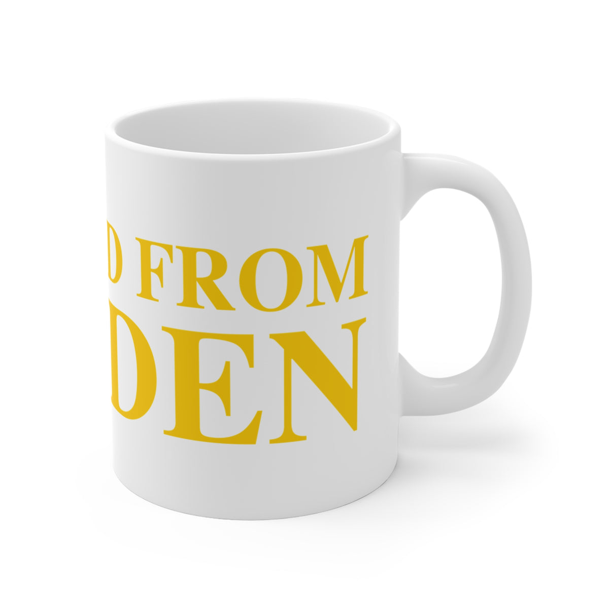 Just a kid from Hamden Mug 11oz