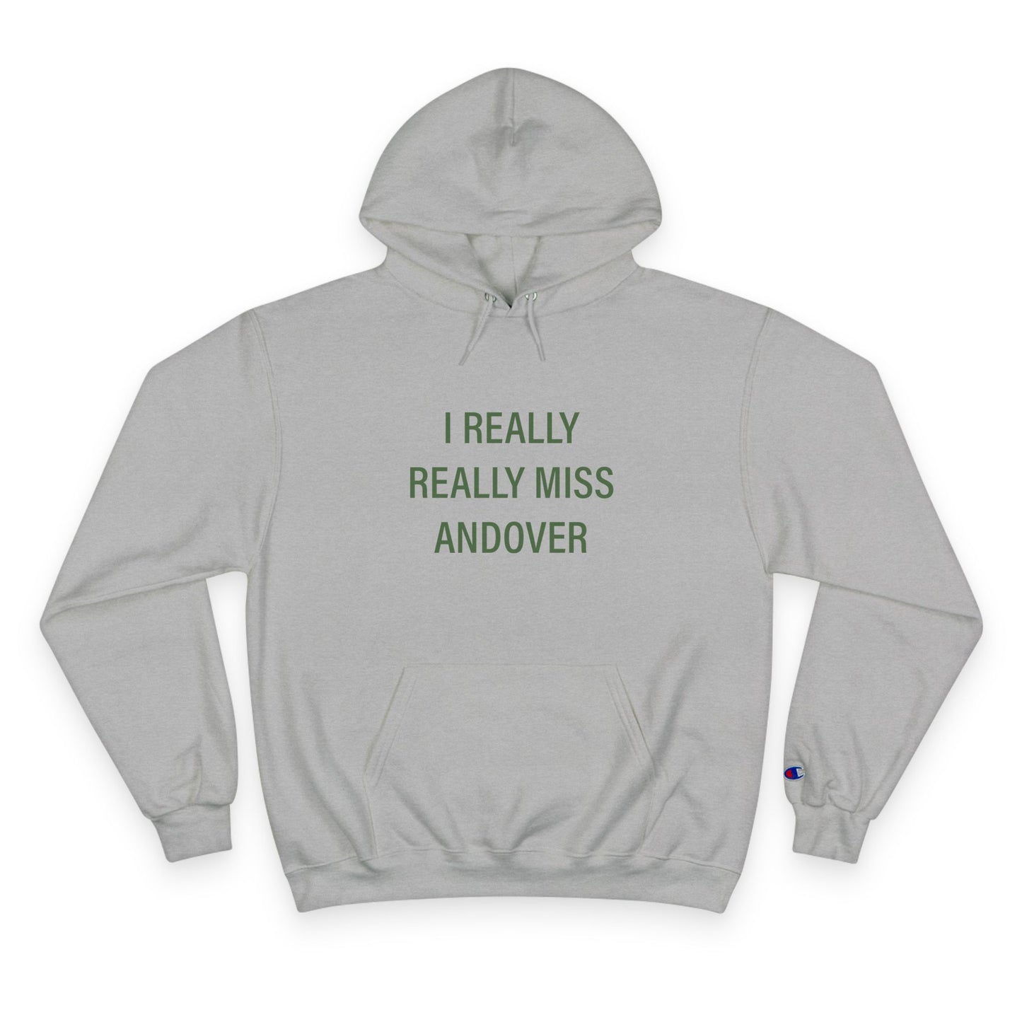 I Really Really Miss Andover Champion Hoodie