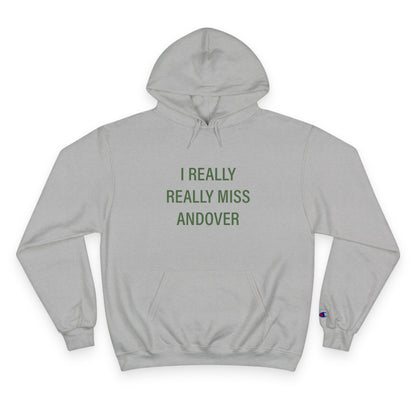 I Really Really Miss Andover Champion Hoodie