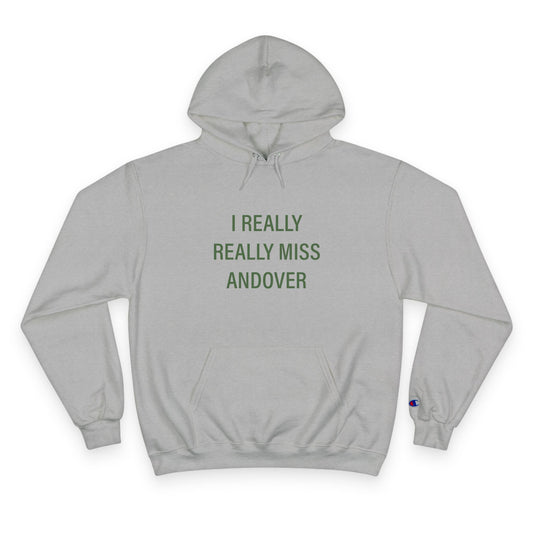 I Really Really Miss Andover Champion Hoodie