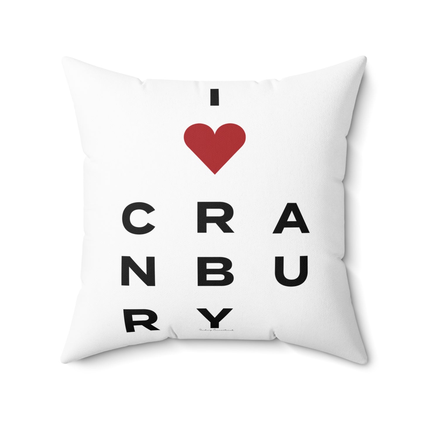 Cranbury Vision Spun Polyester Square Pillow