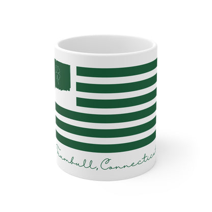 Trumbull Connecticut St Patrick’s Day Flag Mug 11oz