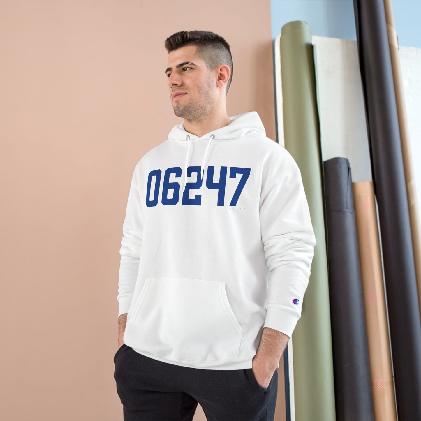 06247 Hampton Connecticut Zip Code Champion Hoodie