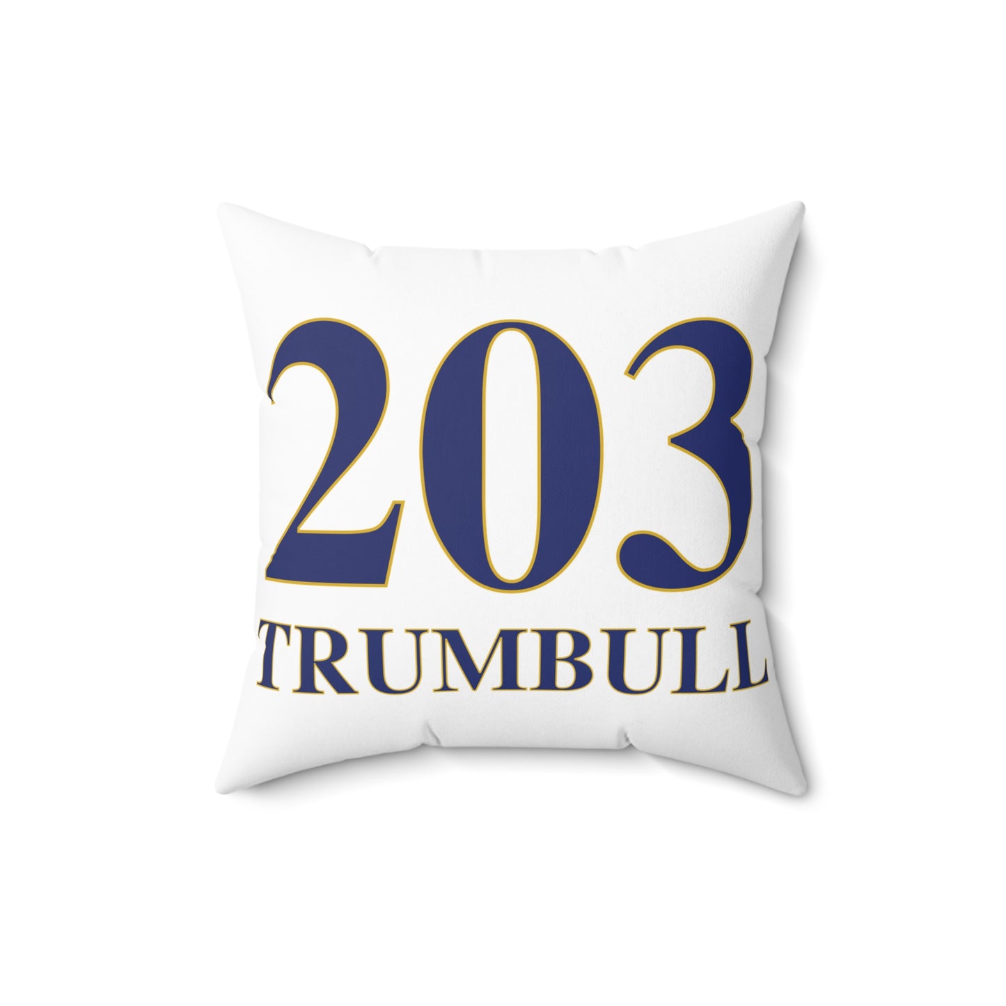 203 Trumbull Spun Polyester Square Pillow