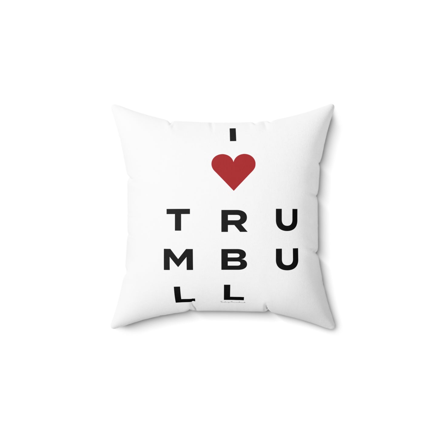 Trumbull Vision Spun Polyester Square Pillow