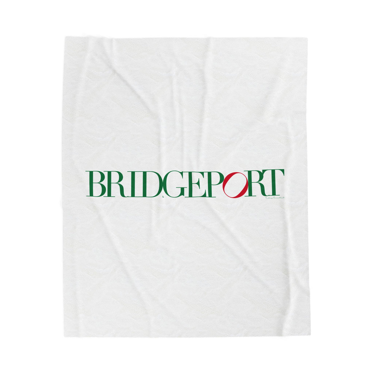 41 Tilt Bridgeport Velveteen Plush Blanket