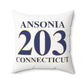 Ansonia 203 Connecticut Polyester Square Pillow