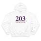 203 Naugatuck Red White & Blue Champion Hoodie