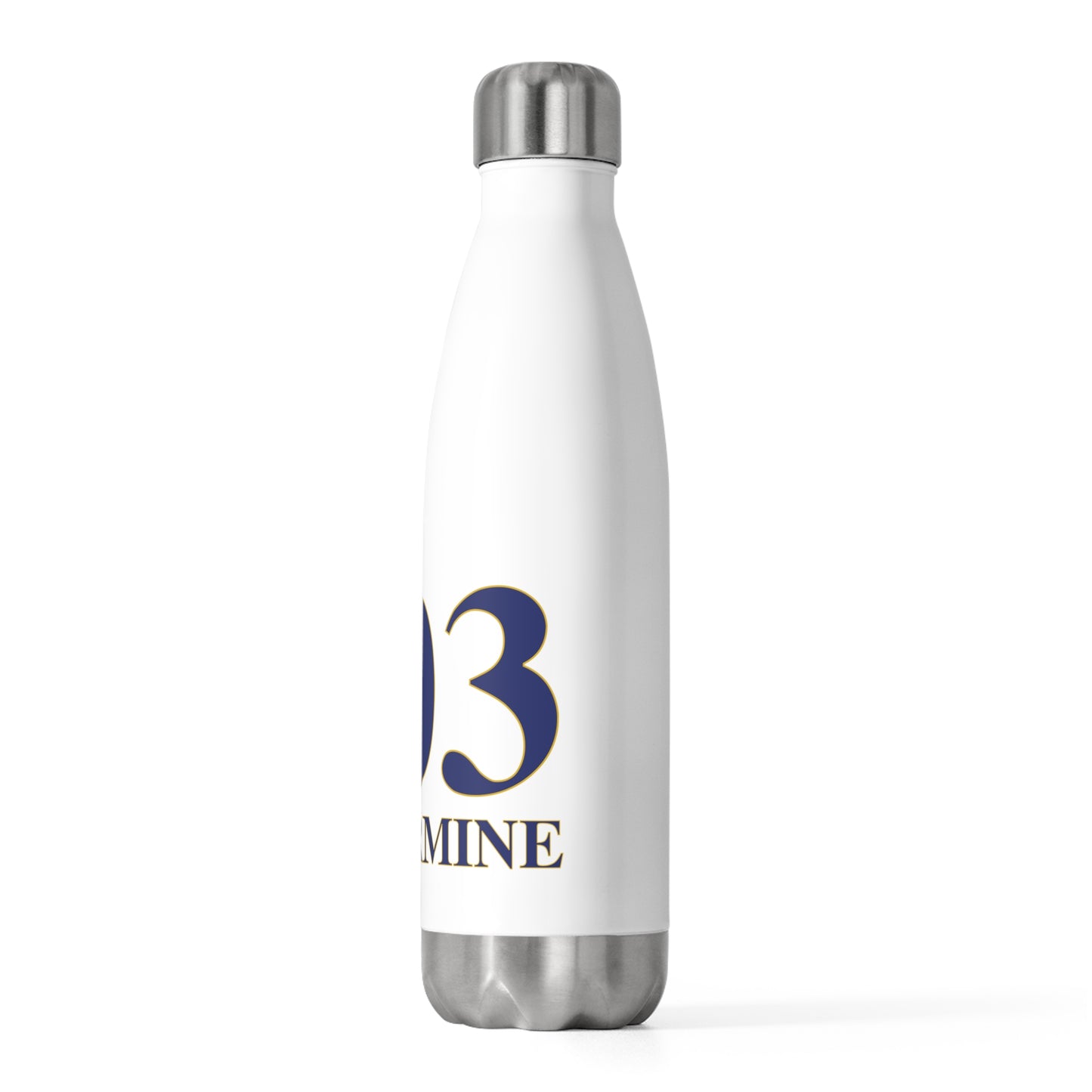 203 Silvermine 20oz Insulated Bottle