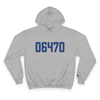 06470 Newtown Connecticut Zip Code Champion Hoodie