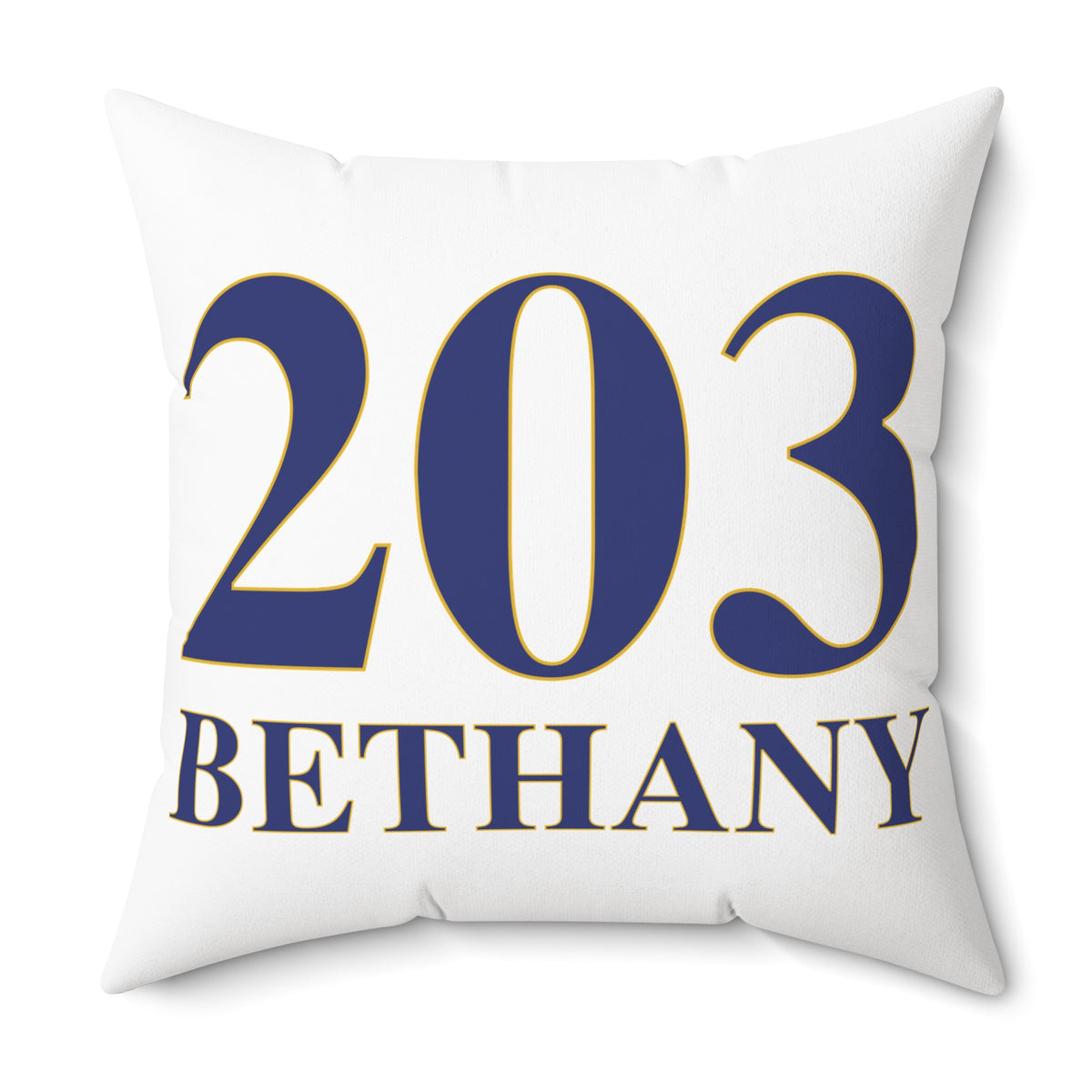 203 Bethany Polyester Square Pillow