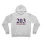 203 Stamford Red, White & Blue Unisex Sponge Fleece Pullover Hoodie