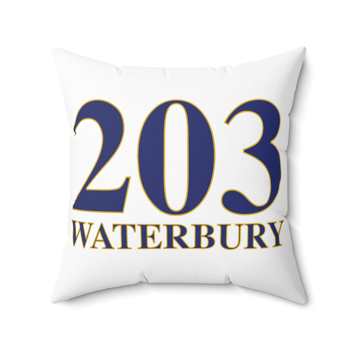 203 Waterbury Polyester Square Pillow