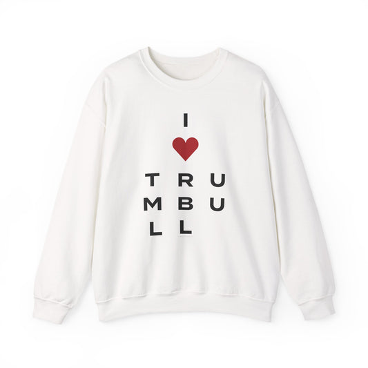 Trumbull Vision Unisex Heavy Blend™ Crewneck Sweatshirt