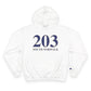 203 South Norwalk Champion Hoodie