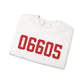 06605 Bridgeport Connecticut Zip Code Unisex Heavy Blend™ Crewneck Sweatshirt