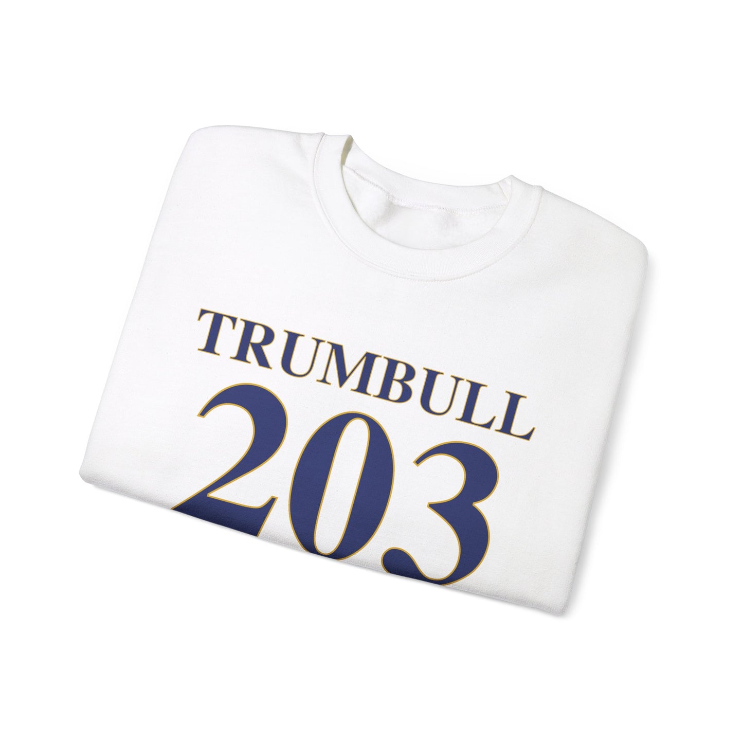 Trumbull 203 Connecticut Unisex Heavy Blend™ Crewneck Sweatshirt