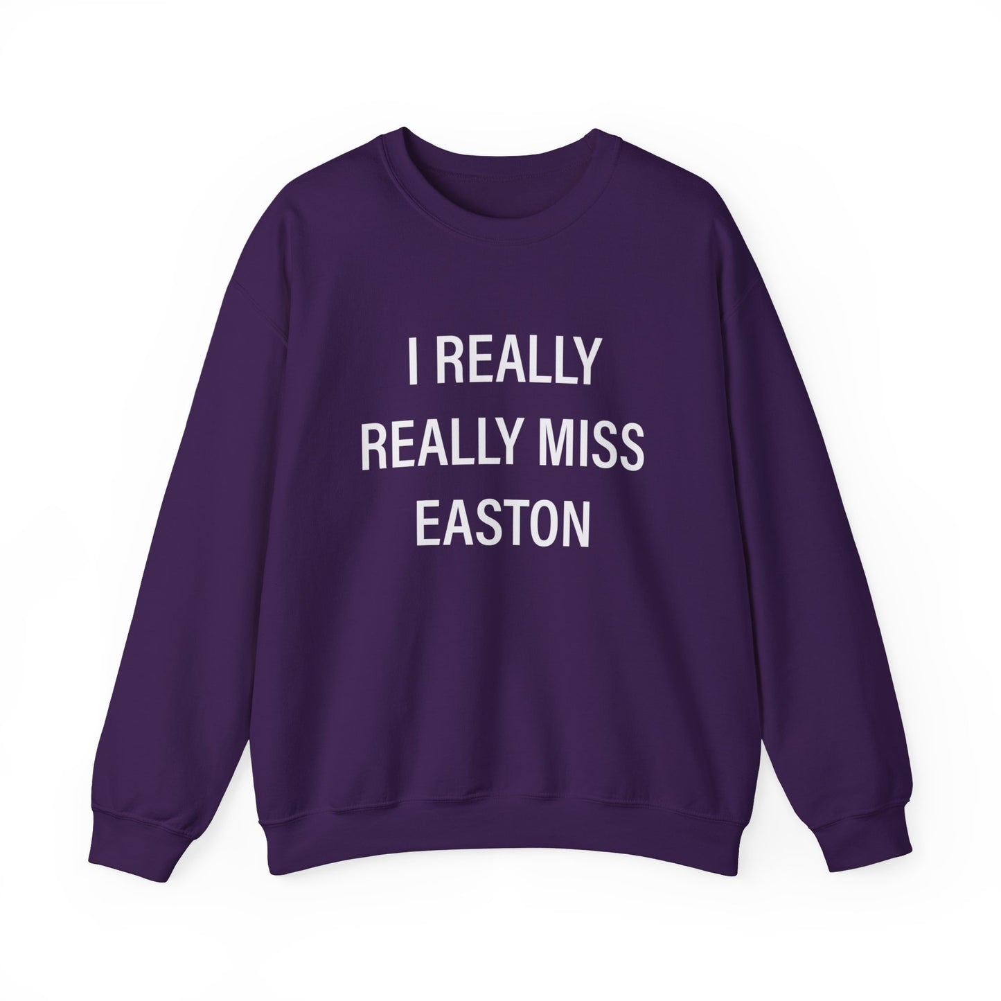 I Really Really Miss Easton Unisex Heavy Blend™ Crewneck Sweatshirt