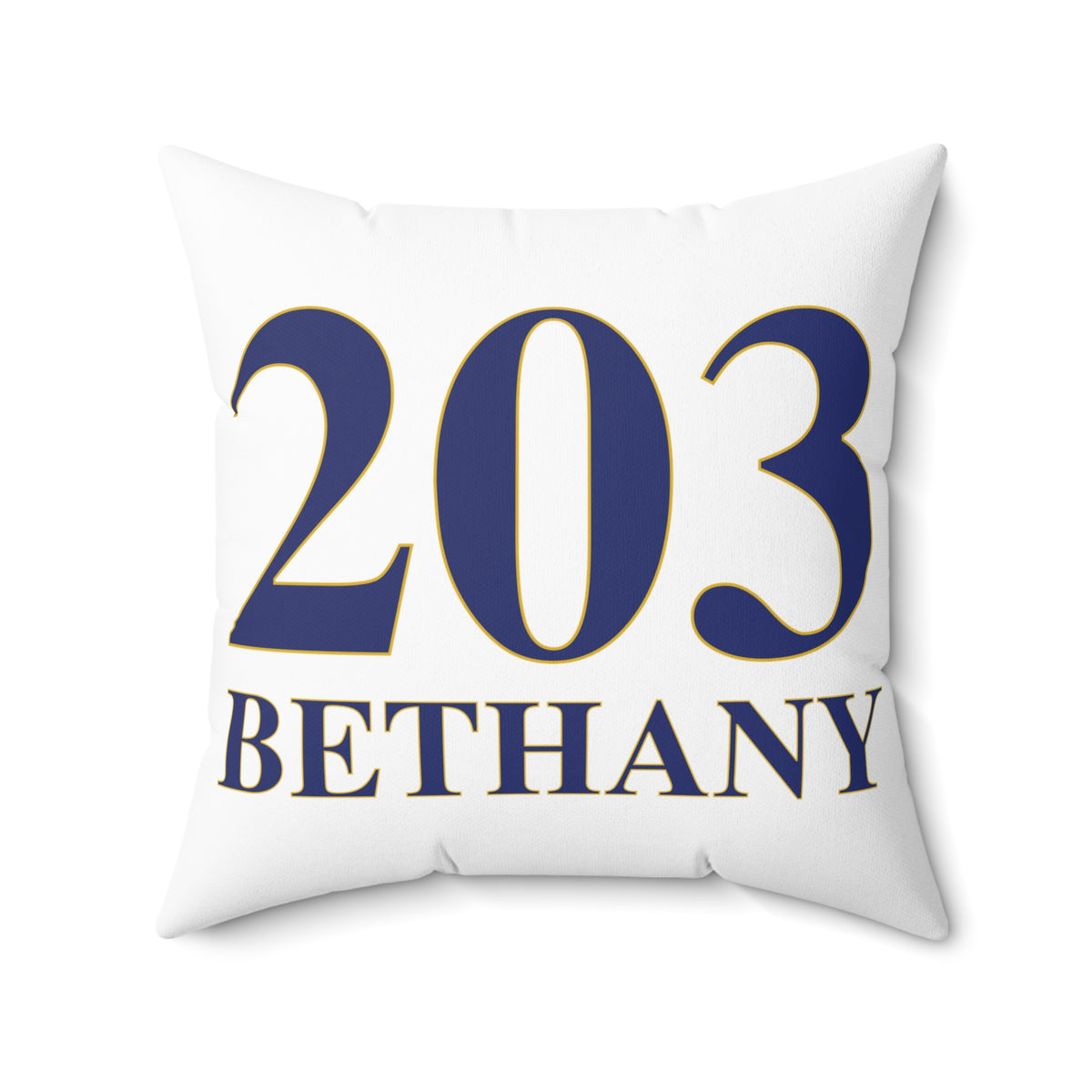 203 Bethany Polyester Square Pillow